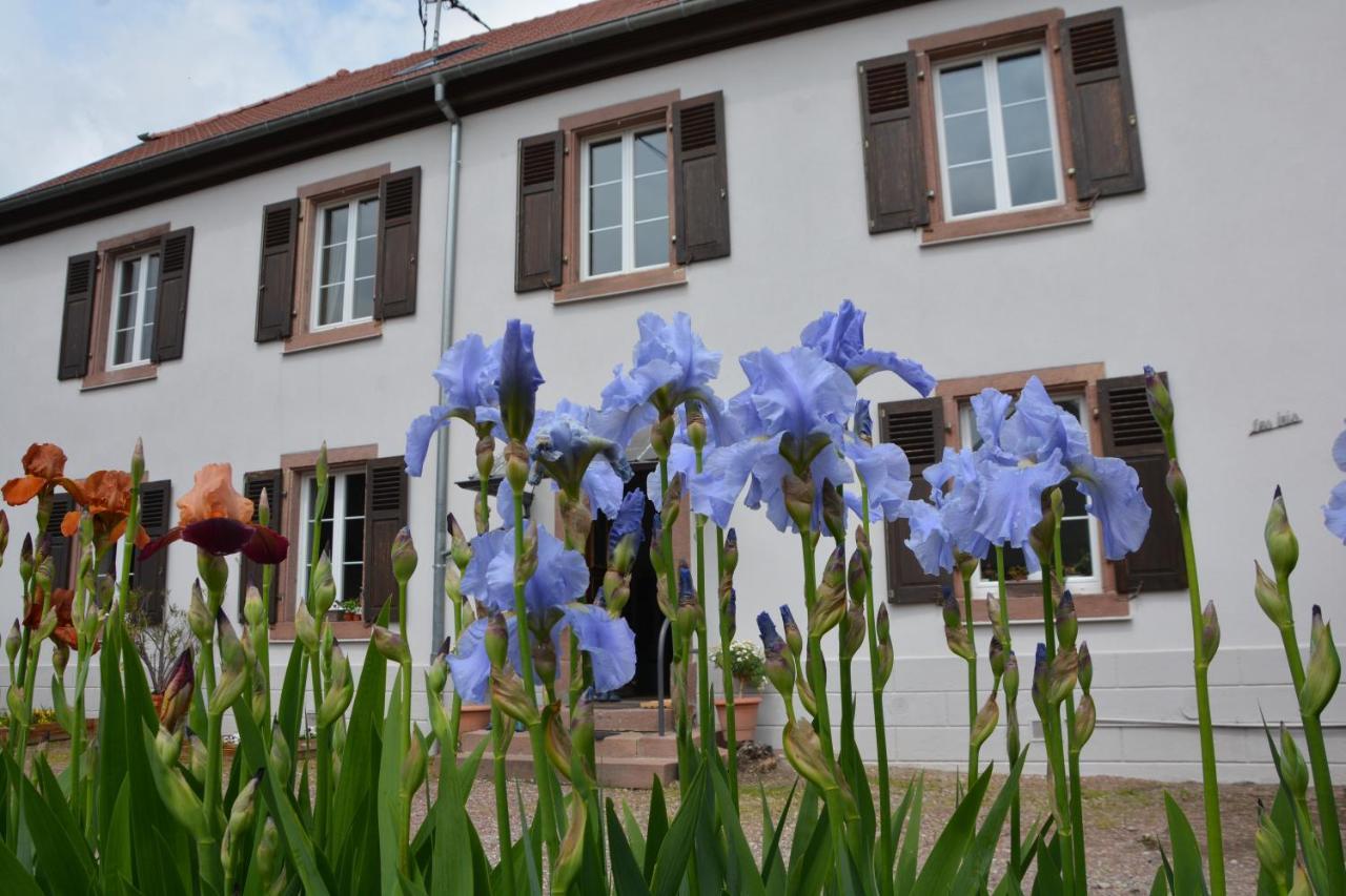 Ferme Les Iris Διαμέρισμα Issenheim Εξωτερικό φωτογραφία