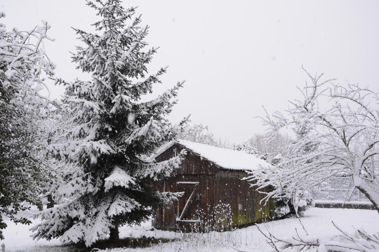 Ferme Les Iris Διαμέρισμα Issenheim Εξωτερικό φωτογραφία