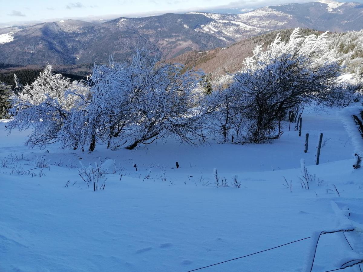 Ferme Les Iris Διαμέρισμα Issenheim Εξωτερικό φωτογραφία