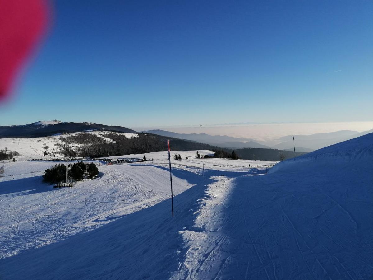 Ferme Les Iris Διαμέρισμα Issenheim Εξωτερικό φωτογραφία