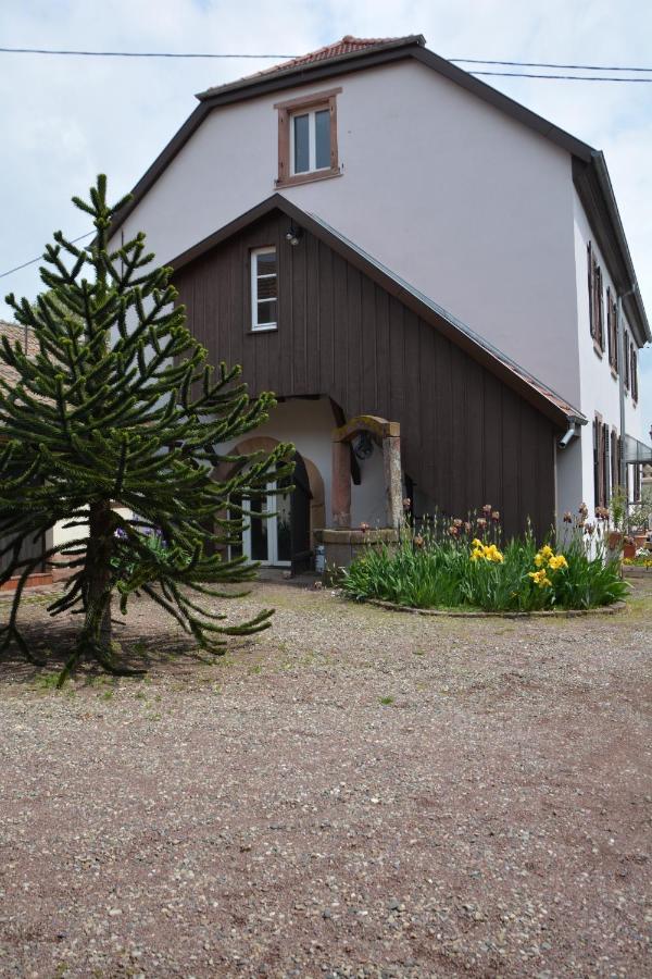Ferme Les Iris Διαμέρισμα Issenheim Εξωτερικό φωτογραφία